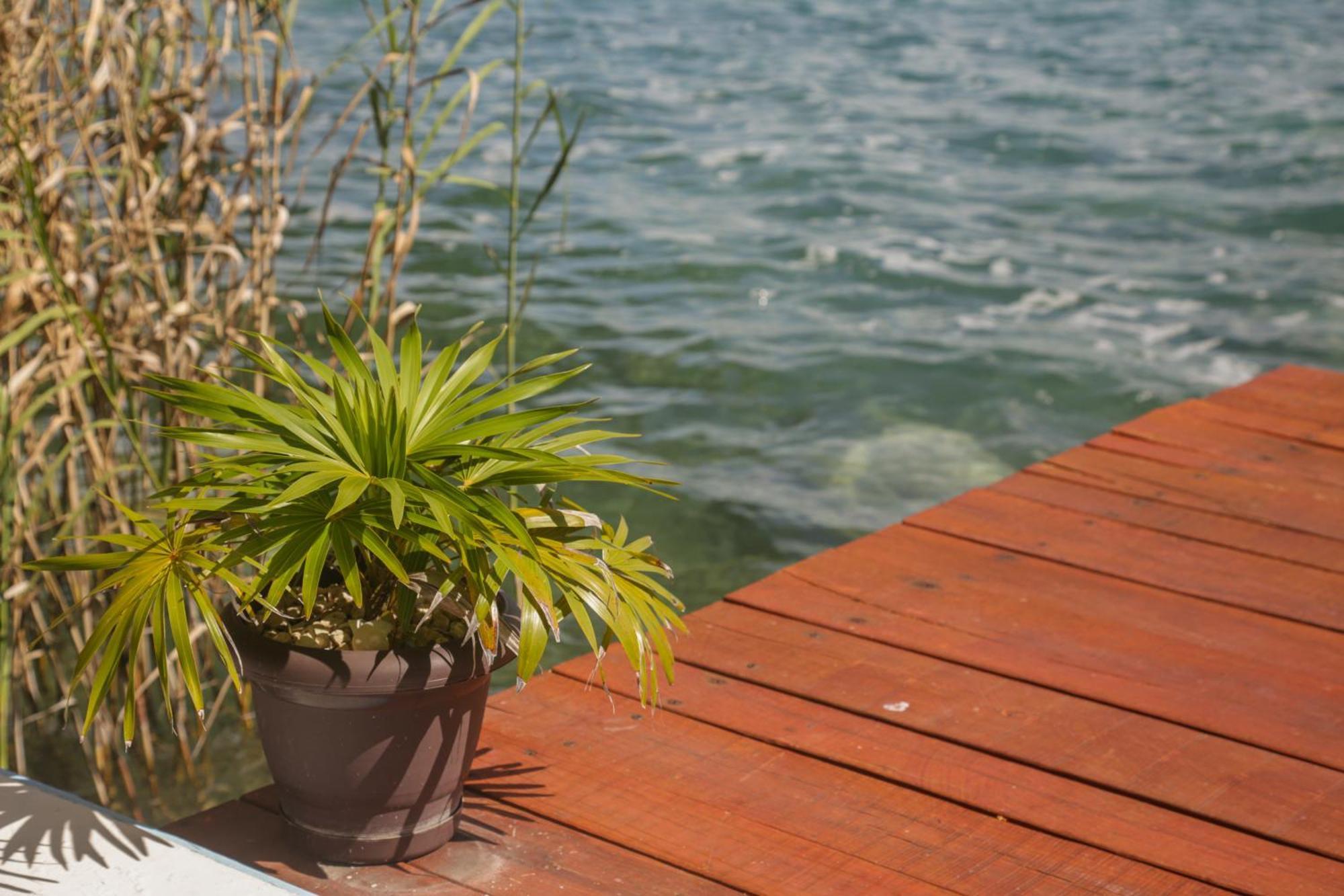 Seven Blue House Village & Lodge Bacalar Esterno foto